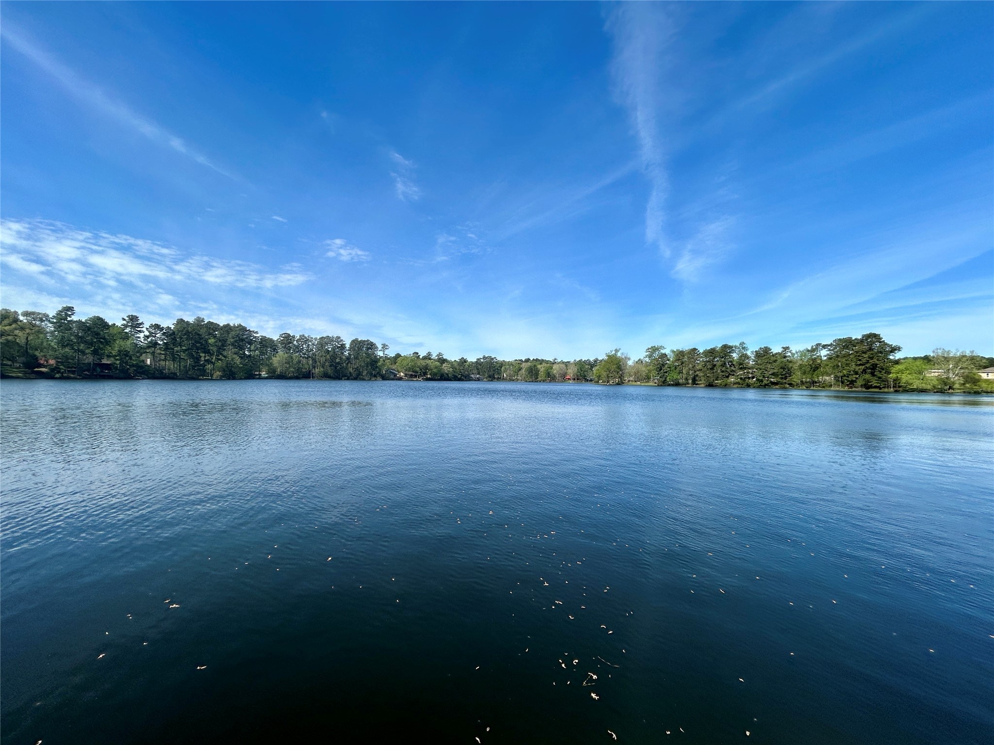 Tbd Royal Springs Road Conroe, TX 77303 - Photo 17 of 19 Subdivision Lake