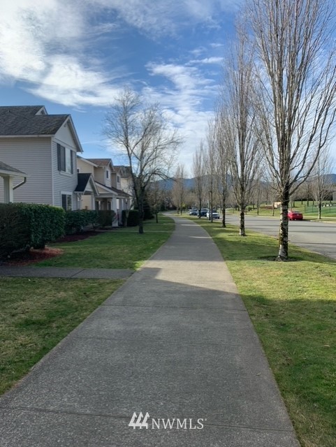 35215 Southeast Ridge Street Snoqualmie, WA 98065 - Photo 24 of 25 a view of a park with large trees
