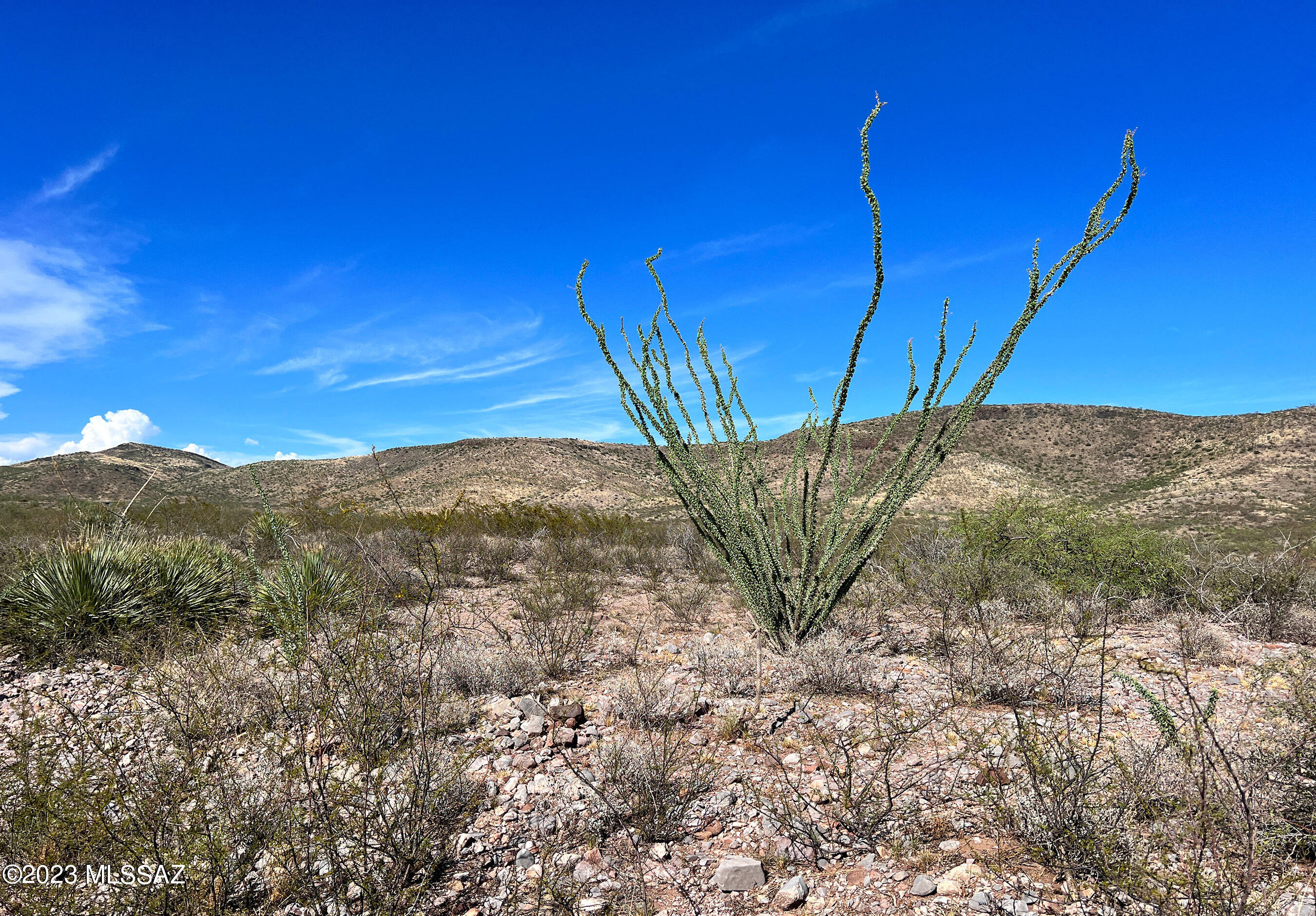 Tbd 80-ac North Pedregosa Road Douglas, AZ 85607 - Photo 16 of 25 Gallery Image 16