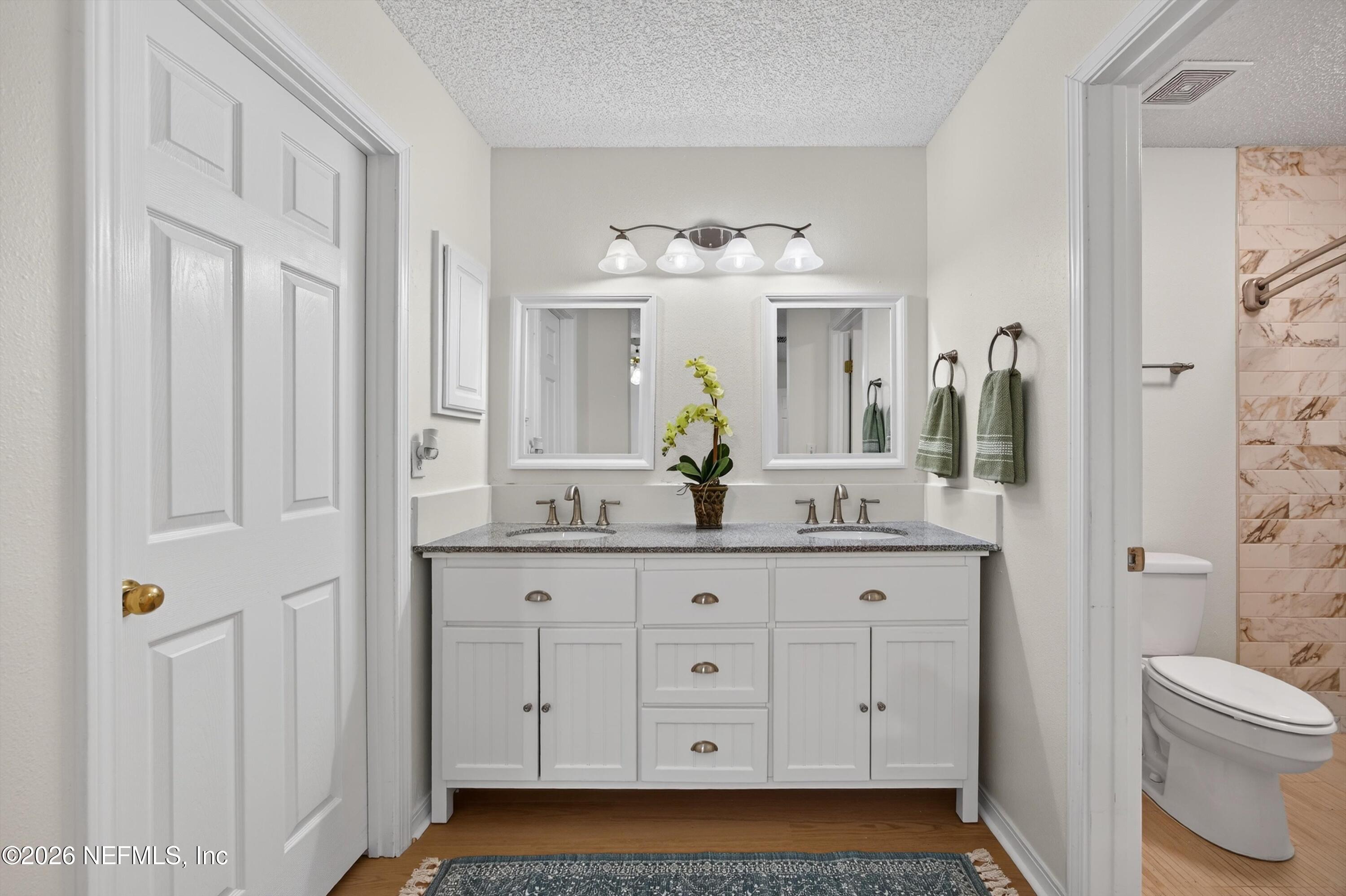 2411 Paris Mill Road Jacksonville, FL 32221 - Photo 26 of 36 a bathroom with a granite countertop sink and a mirror