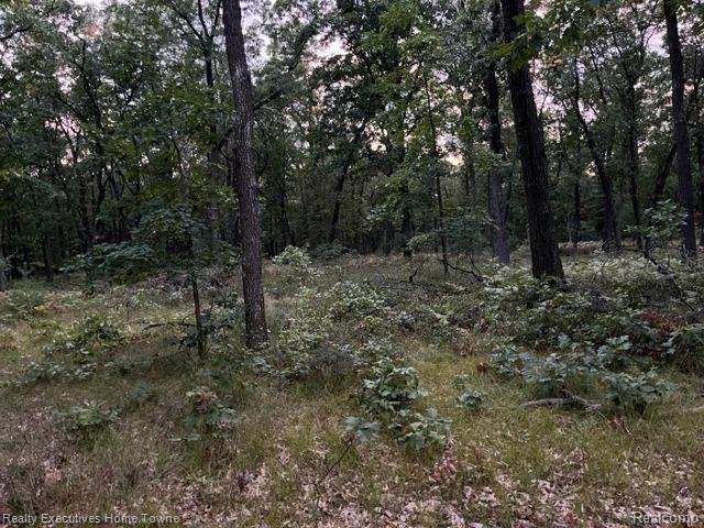 416 Grove Road Omer, MI 48749 - Photo 22 of 22