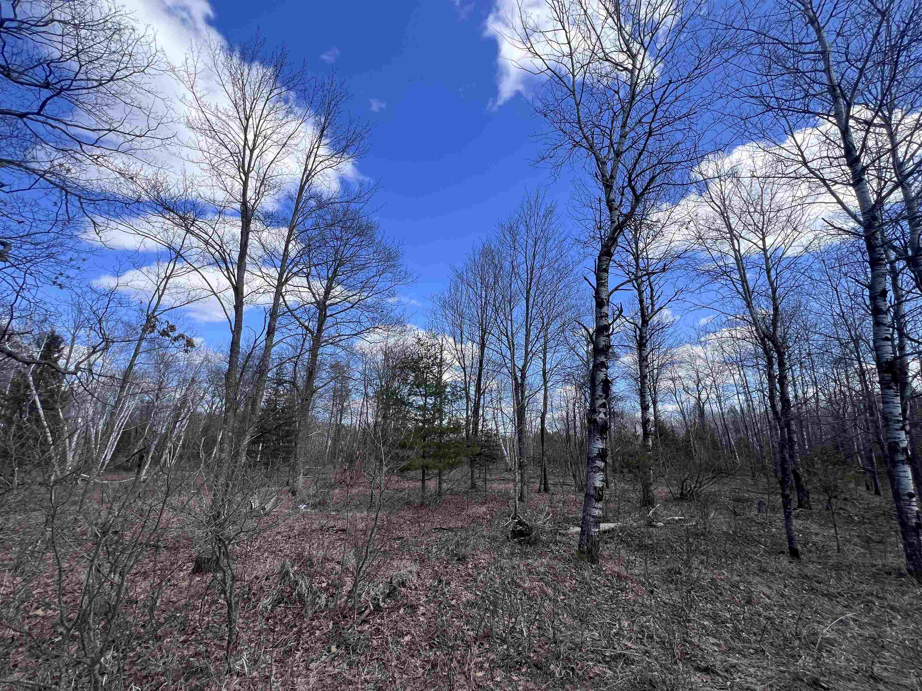 Nejedlo Road, Unit 3 Wausaukee, WI 54177 - Photo 1 of 1