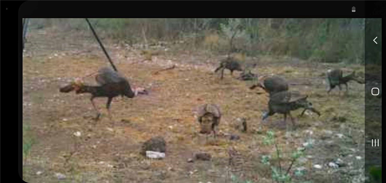 449 Double Eagle Road George West, TX 78022 - Photo 12 of 15 a view of a dry room
