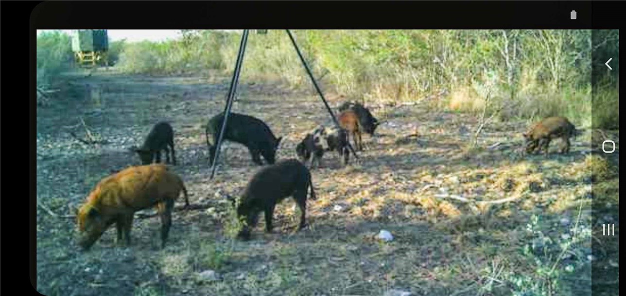 449 Double Eagle Road George West, TX 78022 - Photo 2 of 15