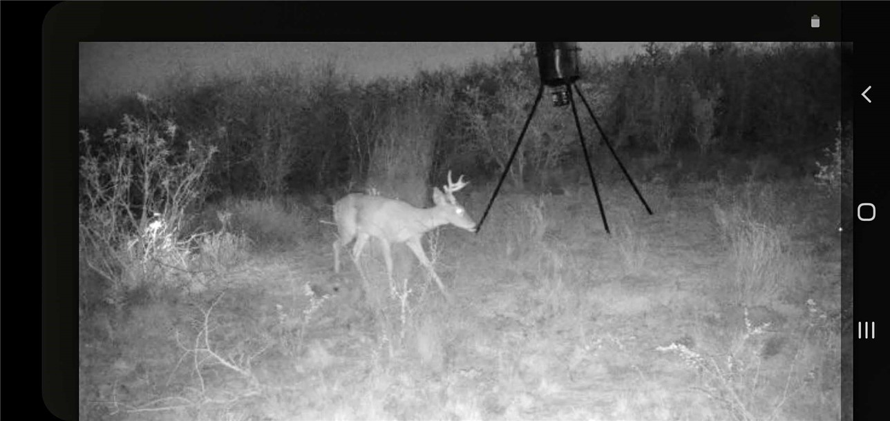 449 Double Eagle Road George West, TX 78022 - Photo 3 of 15 a picture of a room