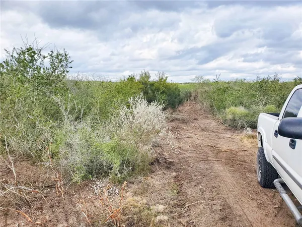 a view of a small yard