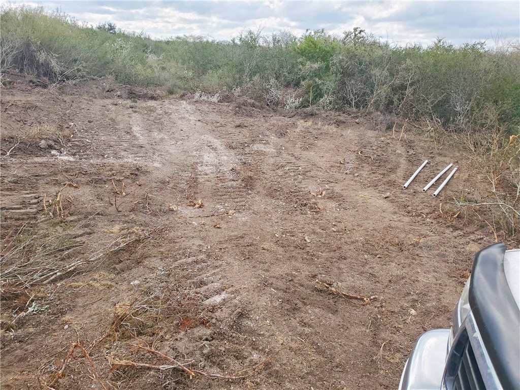 449 Double Eagle Road George West, TX 78022 - Photo 8 of 15 a view of a yard with mountain view