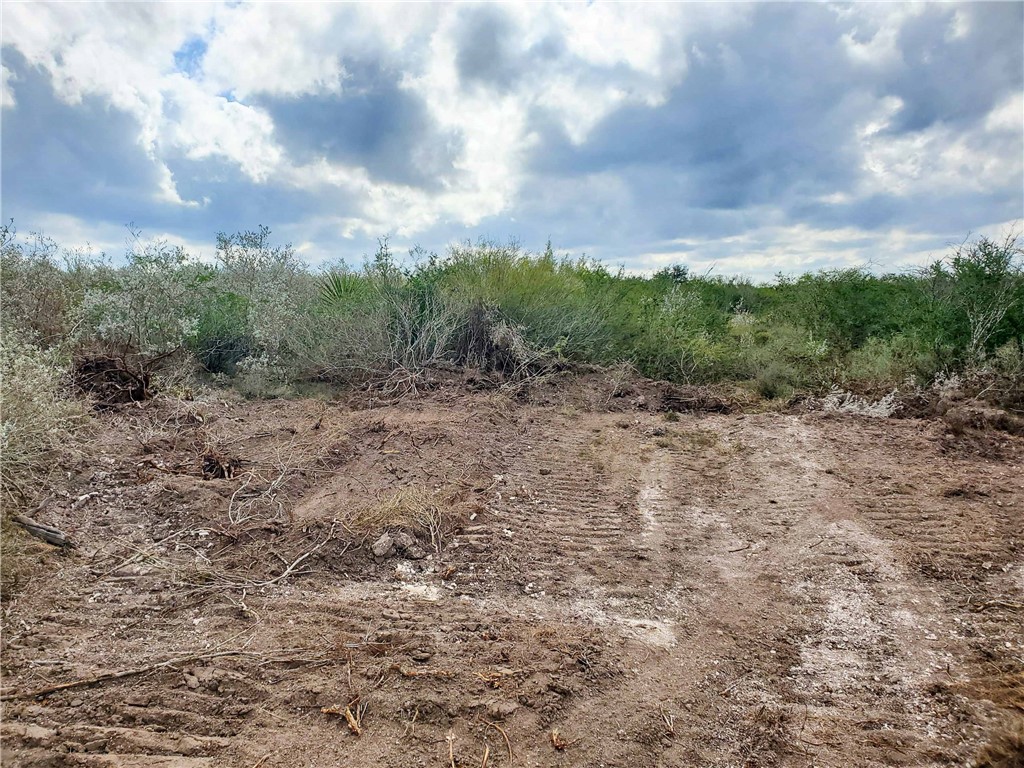 449 Double Eagle Road George West, TX 78022 - Photo 9 of 15 a view of a dry yard with trees in the background