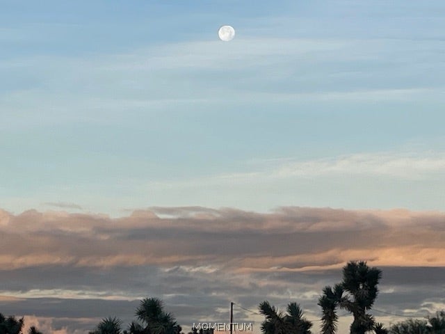 21477 South Sundance Kid Road Yucca, AZ 86438 - Photo 66 of 66 Gallery Image 66