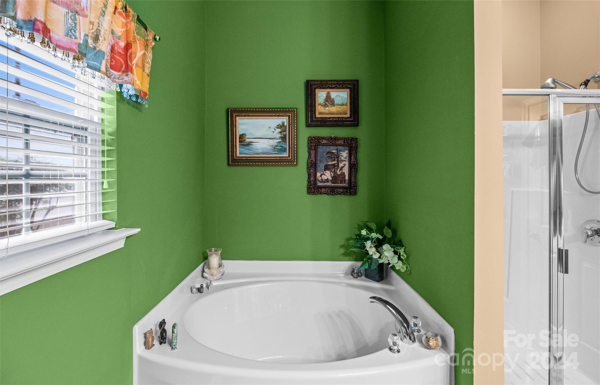 978 Platinum Drive Fort Mill, SC 29708 - Photo 16 of 48 a bathroom with a bathtub and a window
