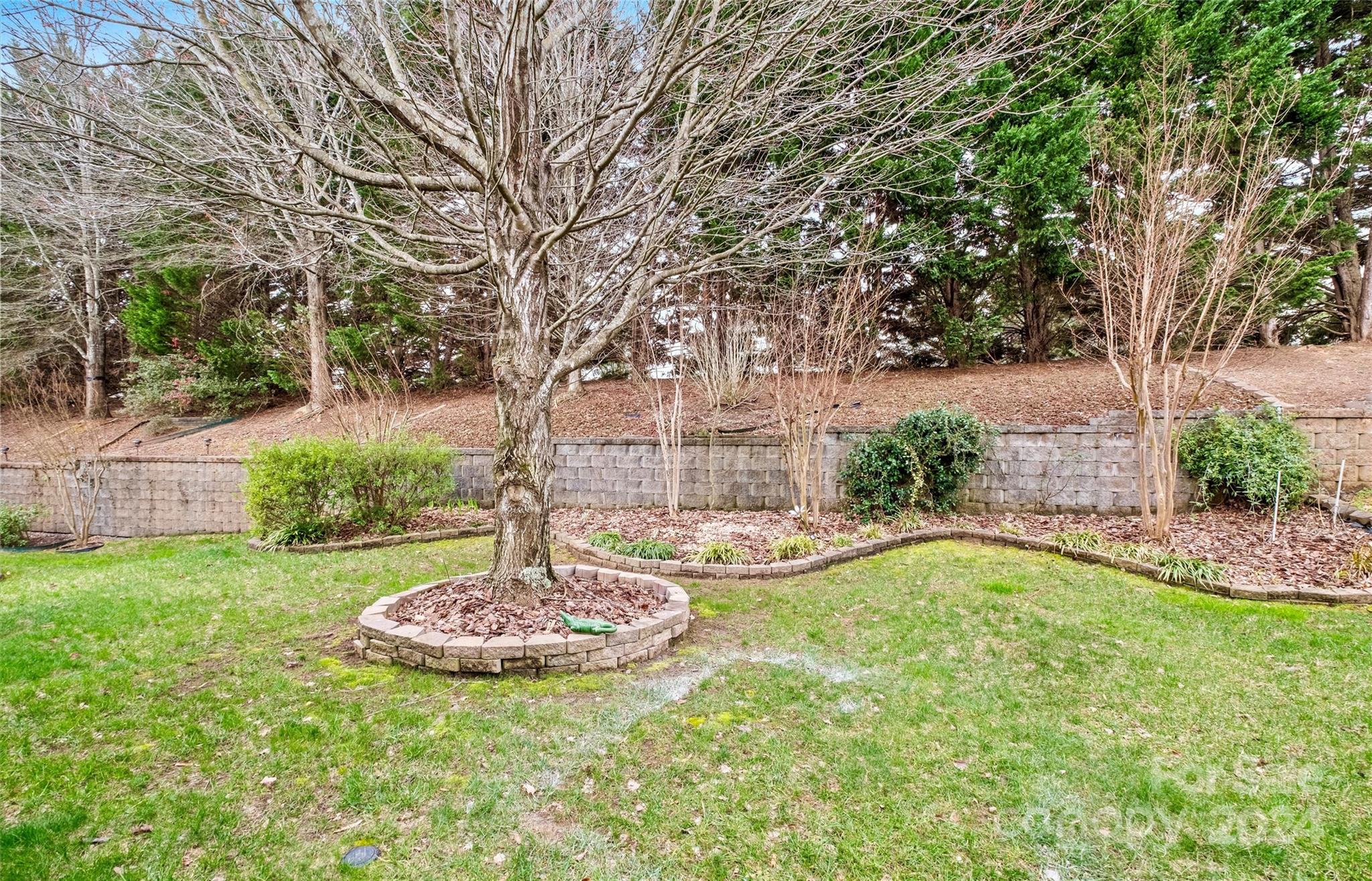 978 Platinum Drive Fort Mill, SC 29708 - Photo 35 of 48 a view of a garden with a fountain