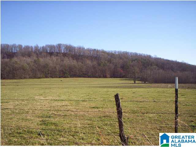 484 Wright Road Blountsville, AL 35031 - Photo 9 of 9