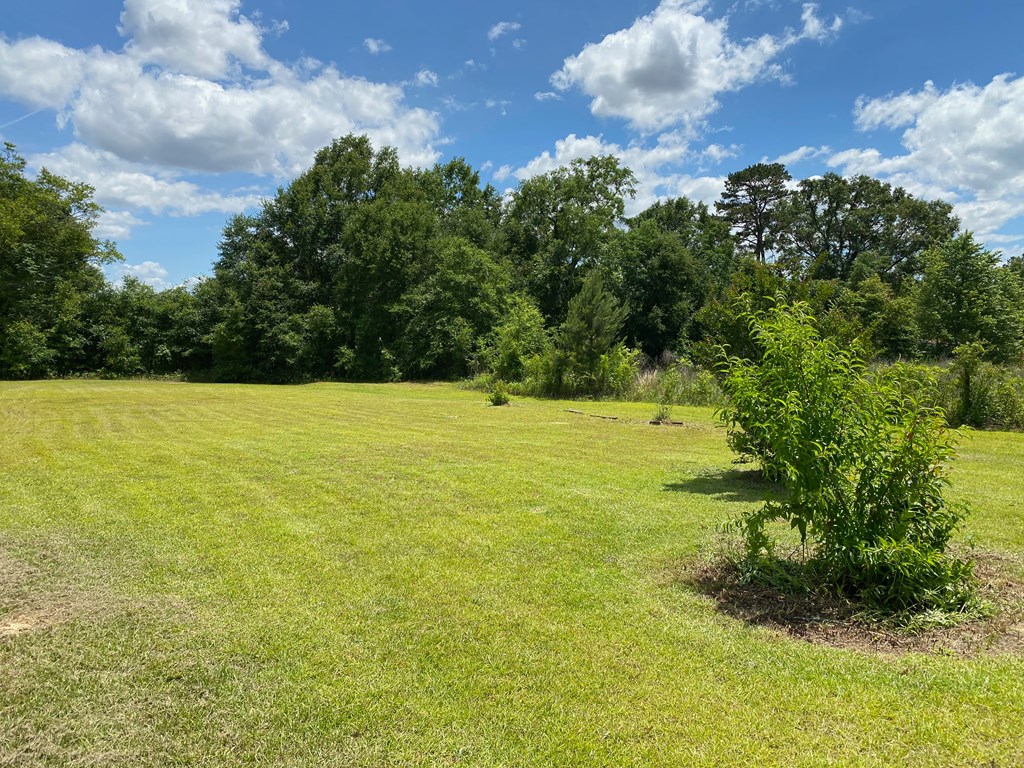 2626 Dean Road Slocomb, AL 36375 - Photo 3 of 13