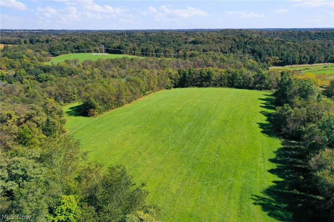 9999 Earlywine Road Walhonding, OH 43843 - Photo 2 of 6 Bird's eye view