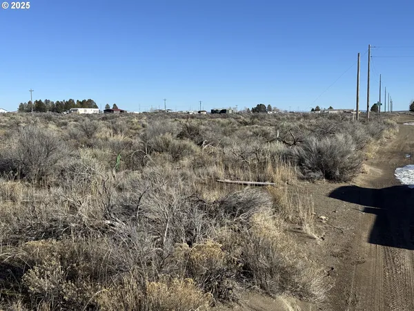a view of a lots of trees