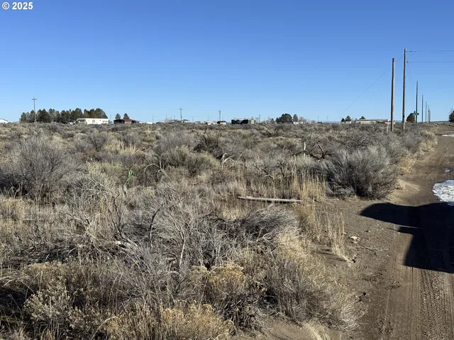 a view of a lots of trees