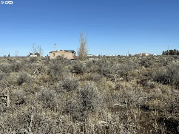 a view of a dry field with trees in the background