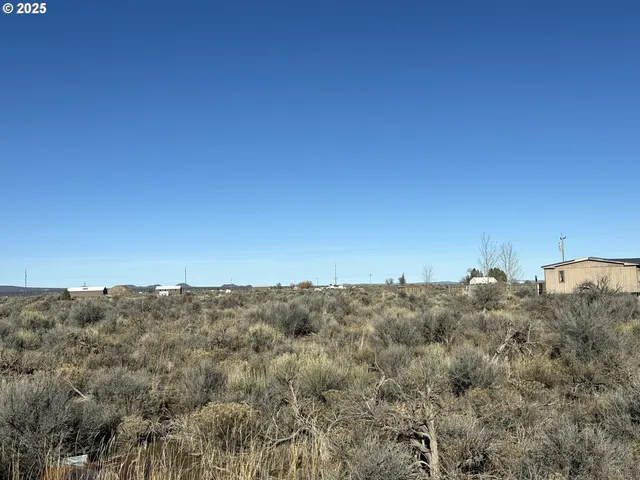 a view of a yard of a house