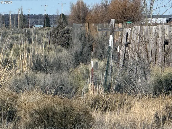 a view of a dry yard