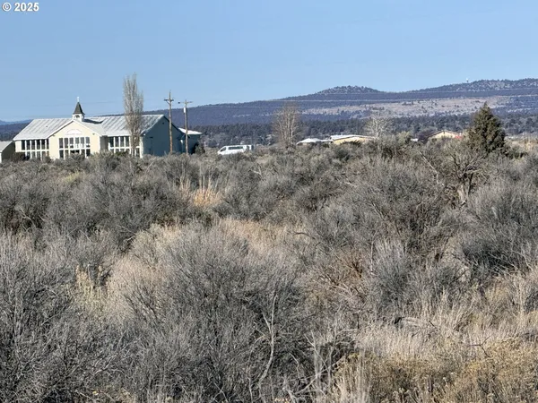 a view of a dry field with trees in background