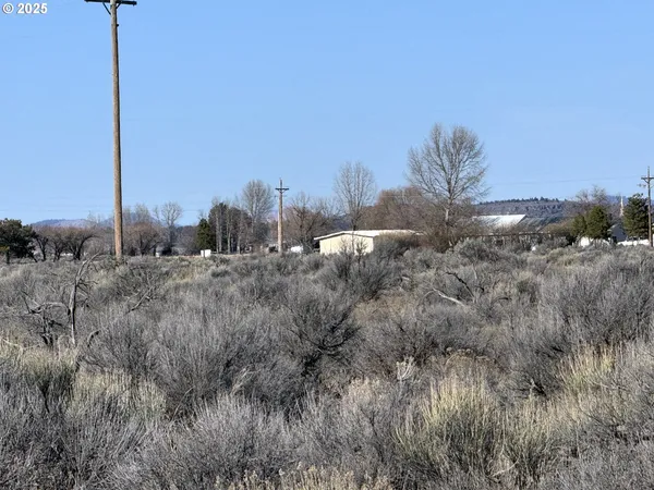 a view of a dry space with lots of trees