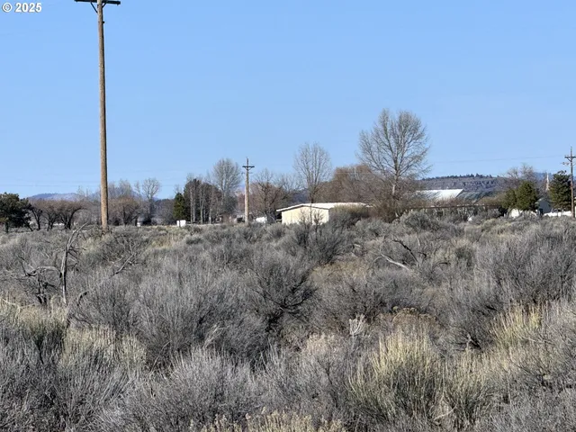 a view of a dry space with lots of trees