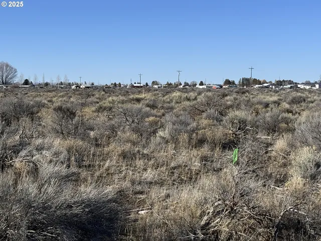 a view of a dry space with trees all around