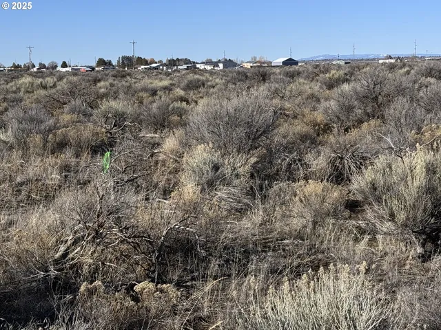 a view of a dry field