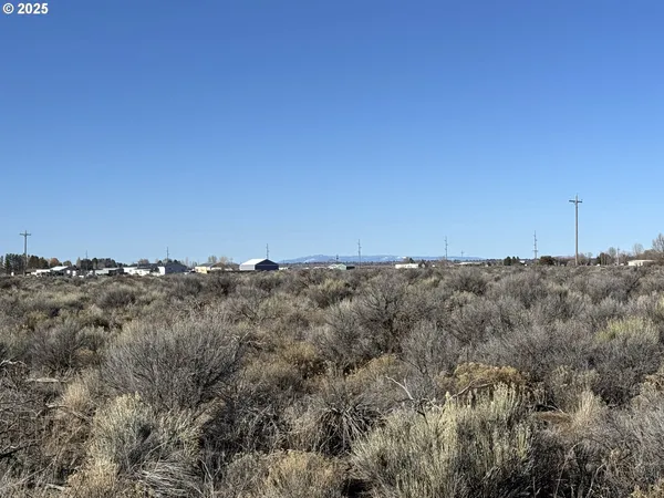 $7,000 | Pinion Lane, Unit 4600, Christmas Valley, OR 97641