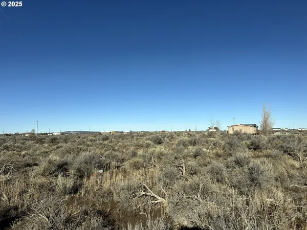 a view of a city with lush green forest