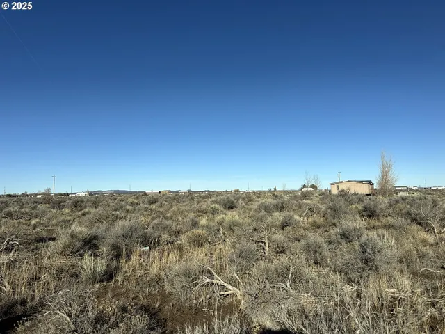 a view of a city with lush green forest