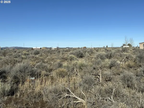 a view of a dry field with trees in background