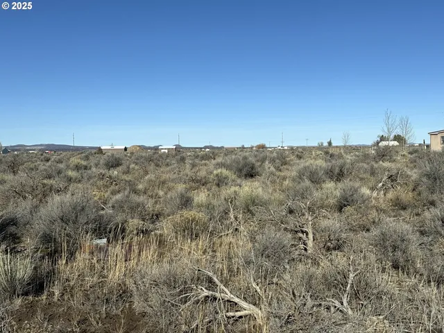 a view of a dry field with trees in background