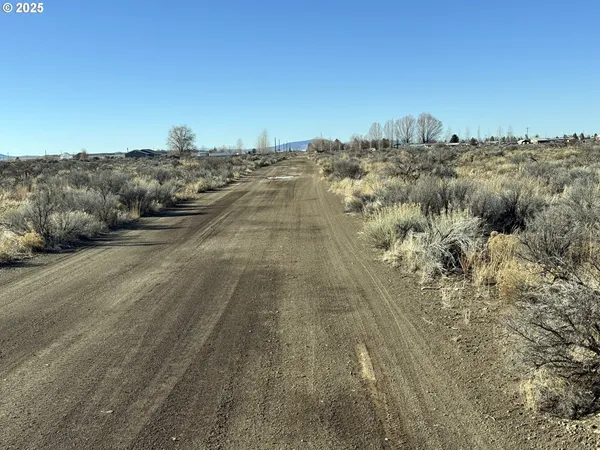 a view of a covered with trees in the background