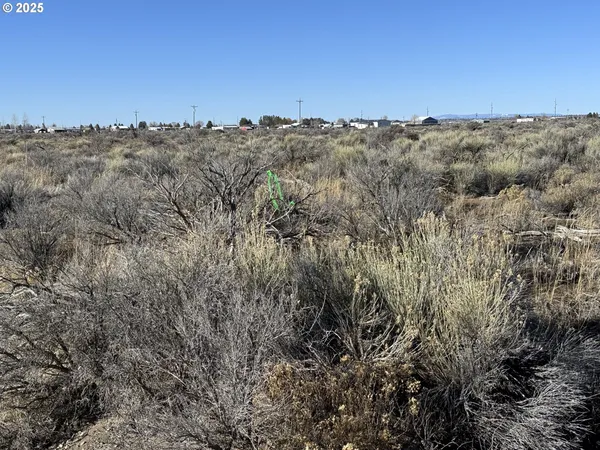 a view of a dry field