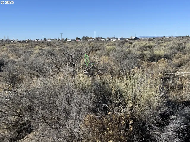 a view of a dry field