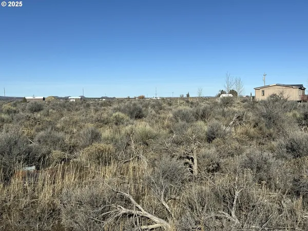 a view of a bunch of trees in a field