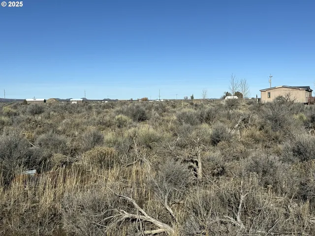 a view of a bunch of trees in a field