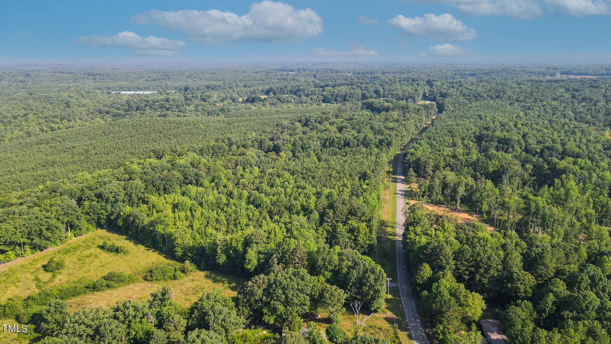 0 Pine Grove Church Road Star, NC 27356 - Photo 4 of 14 Pic 4 PGC