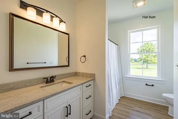 a bathroom with a granite countertop sink a toilet and a mirror