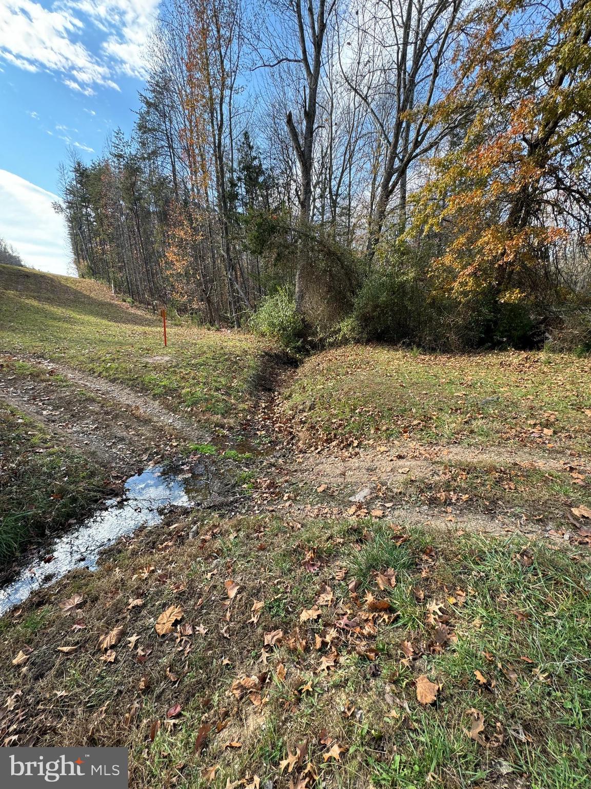 5533 Tall Cedars Road Sumerduck, VA 22742 - Photo 15 of 18