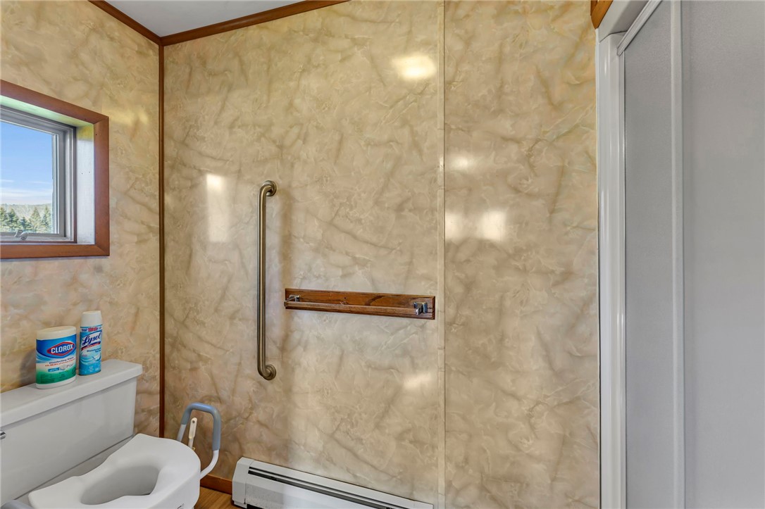 1601 Narrow Notch Road Stamford, NY 13788 - Photo 20 of 32 Primary suite shower/toilet