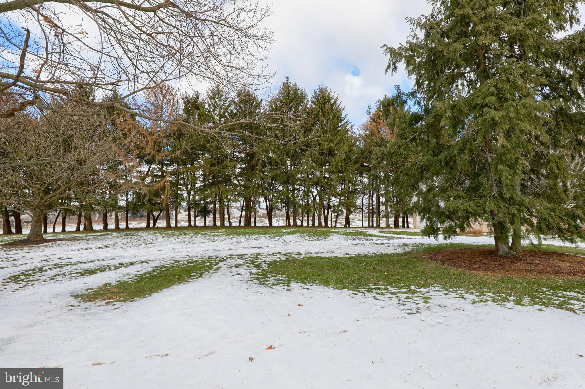 366 Foreman Road Elizabethtown, PA 17022 - Photo 50 of 60
