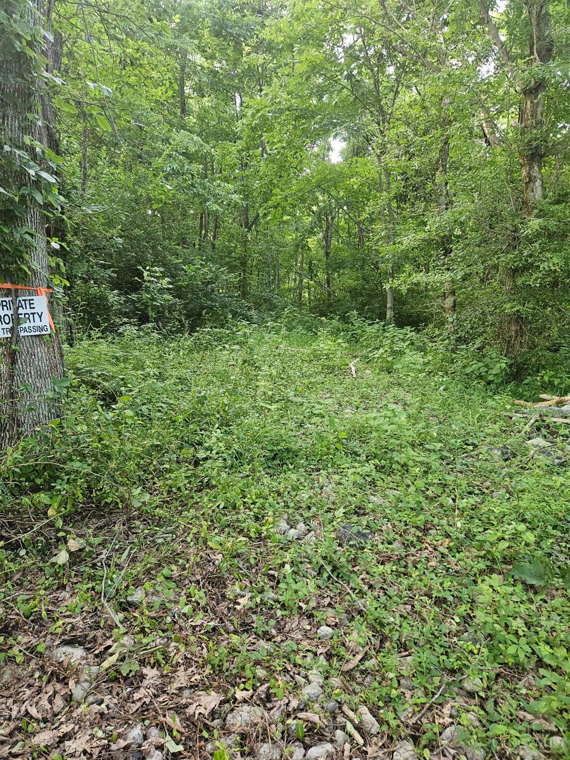 0 Hopewell Road Felicity, OH 45120 - Photo 7 of 12 Gallery Image 7