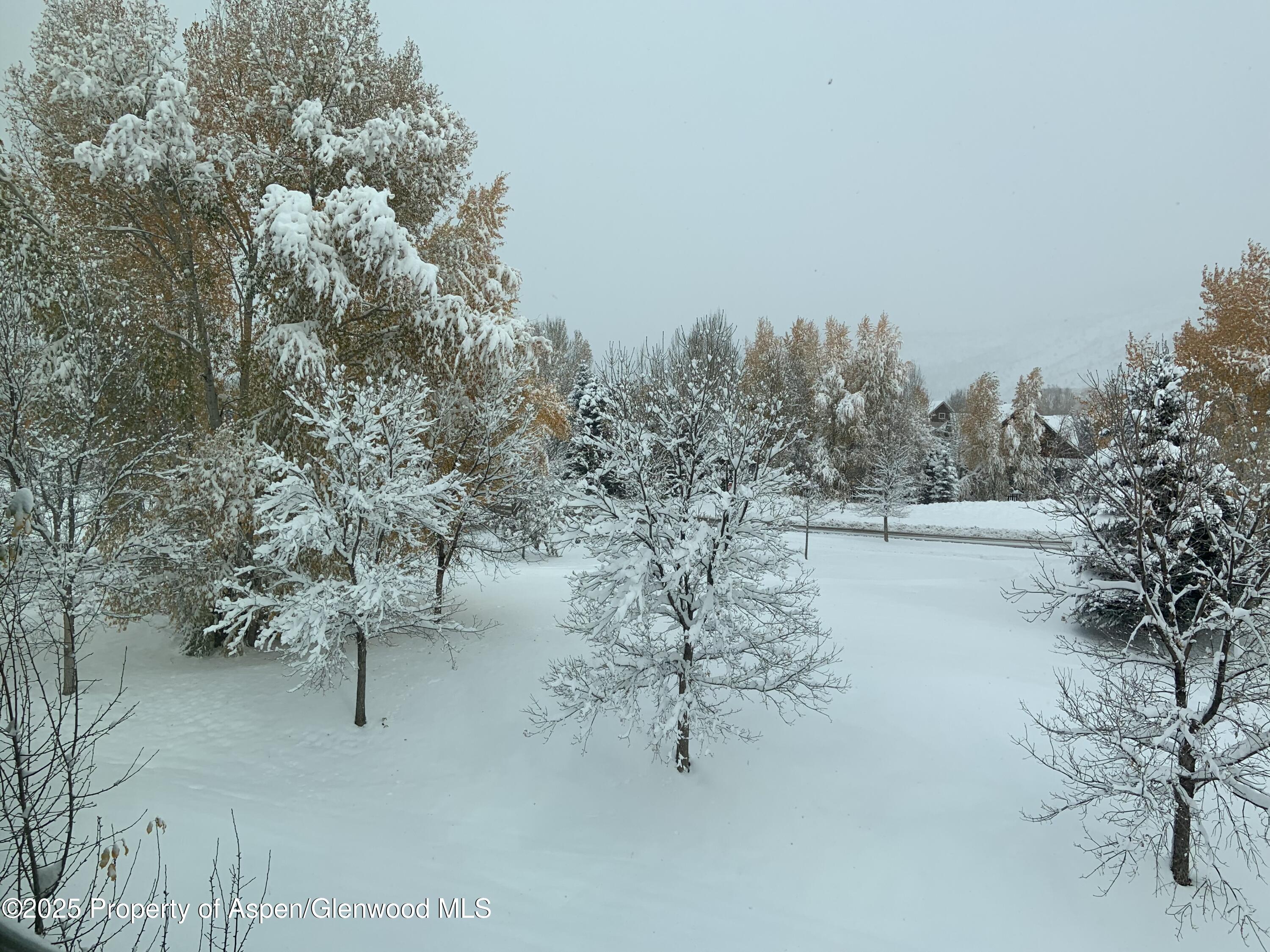 202 Evans Road, Unit 202 Basalt, CO 81621 - Photo 20 of 29 a view of a lake with a yard