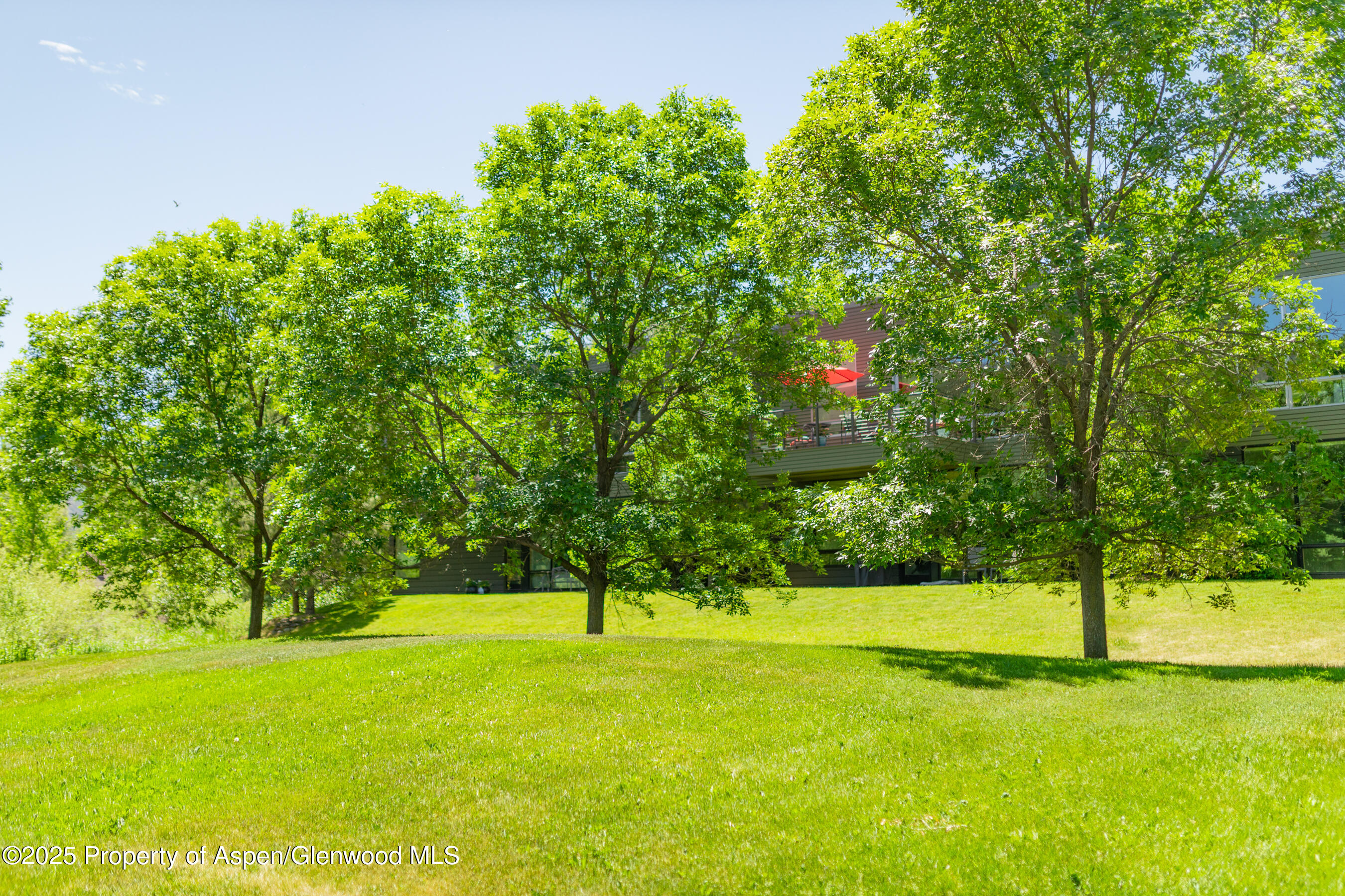 202 Evans Road, Unit 202 Basalt, CO 81621 - Photo 25 of 29 a view of yard with green space