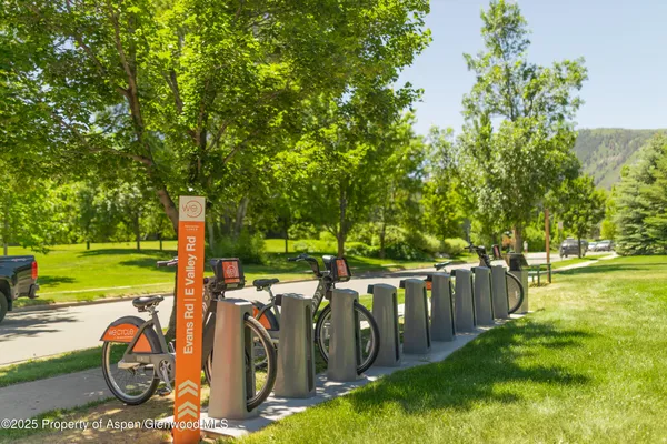 a view of a park with large trees