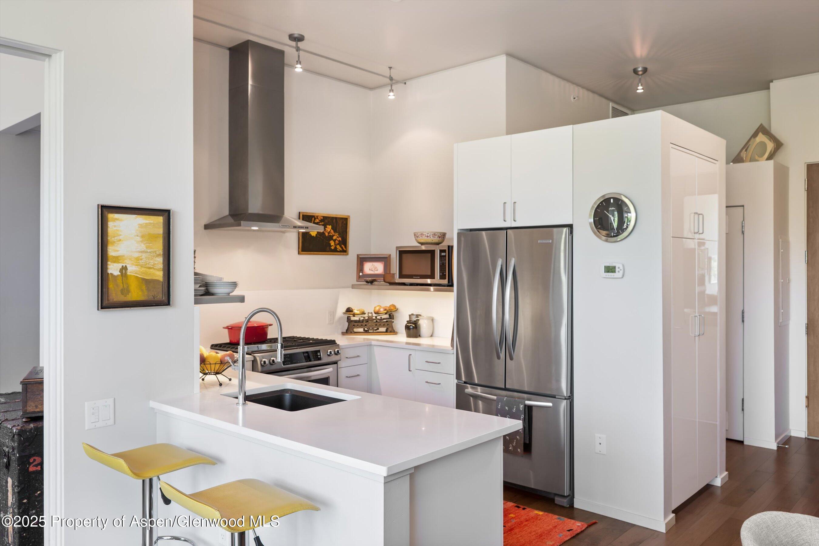 202 Evans Road, Unit 202 Basalt, CO 81621 - Photo 5 of 29 a kitchen with stainless steel appliances a refrigerator and a stove