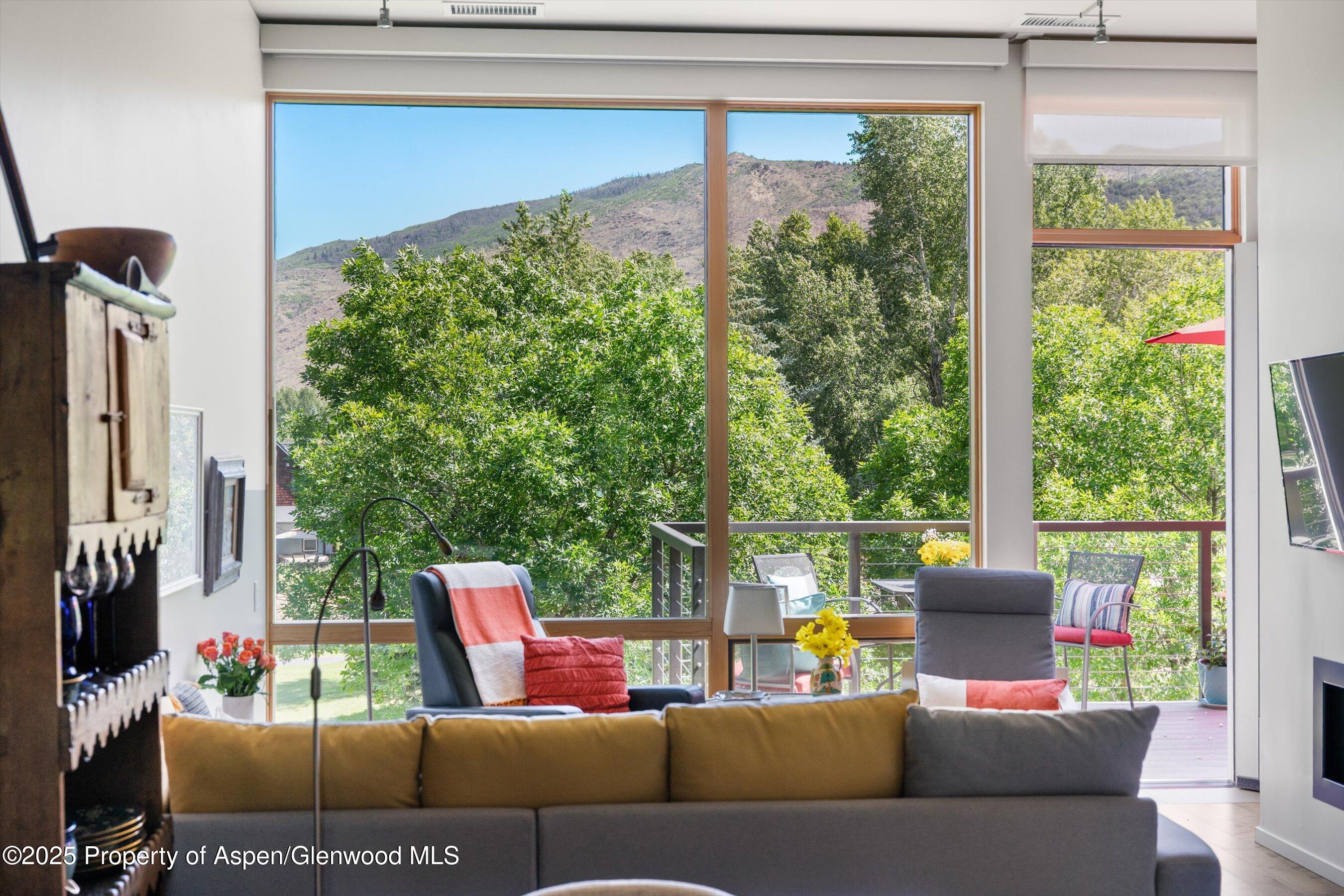202 Evans Road, Unit 202 Basalt, CO 81621 - Photo 8 of 29 a living room with furniture and a floor to ceiling window
