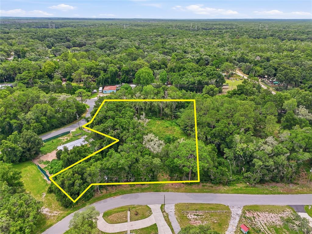 7002 North Castlebury Road Hernando, FL 34442 - Photo 3 of 29